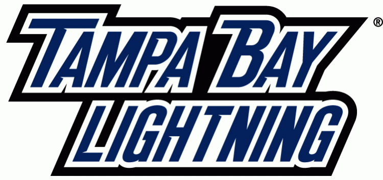 Tampa Bay Lightning 2011 Wordmark Logo iron on heat transfer